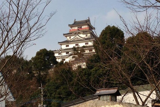 Fukuoka Nature and Cultural Sightseeing Tour - Questions and Terms