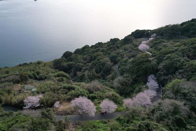 Fukuoka: Nokonoshima Island Guided Walking Tour - Practical Tips for a Great Experience  