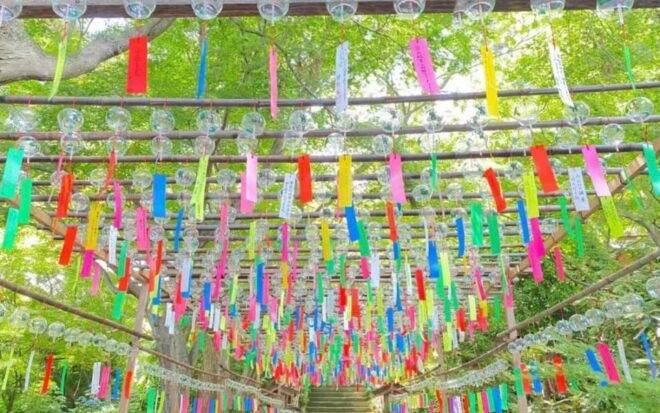 Fukuoka: Nyoirinji Frog Temple & Beppu & Yufuin One-Day Tour - Major Attractions