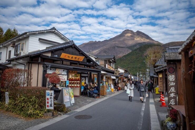 Fukuoka: Nyoirinji Frog Temple & Beppu & Yufuin One-Day Tour - Good To Know