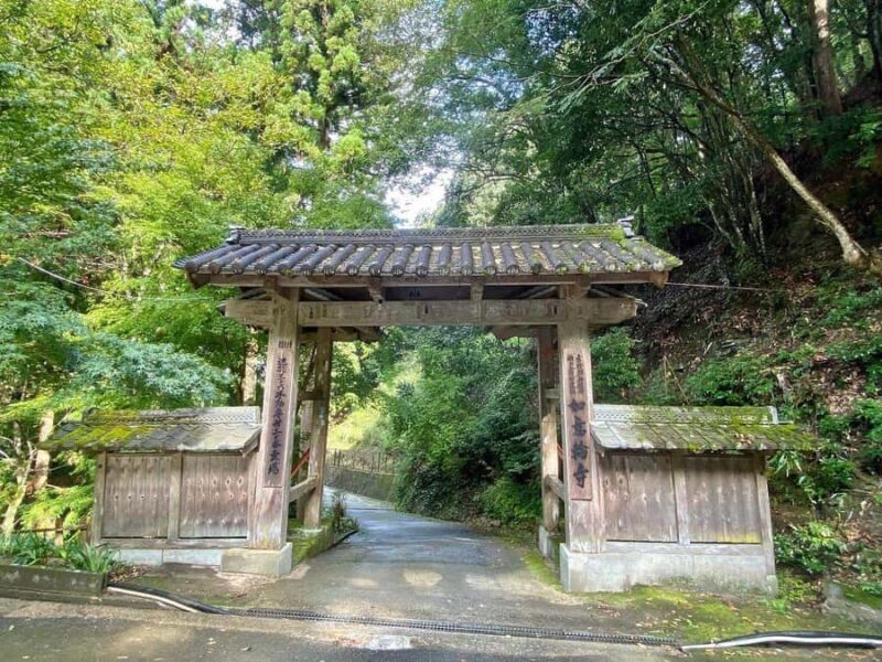 Fukuoka: Nyoirinji Frog Temple & Tea Escape - Final Thoughts