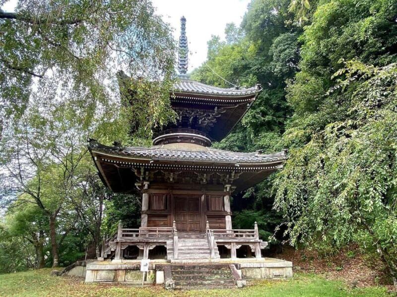 Fukuoka: Nyoirinji Frog Temple & Tea Escape - Discovering Nyoirinji Frog Temple & Tea Escape: A Unique Day Trip from Fukuoka