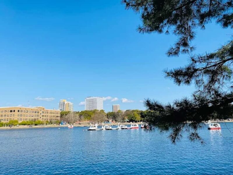 Fukuoka: Ohori Park and Amaguri Onsen Spa Day Tour - Introduction