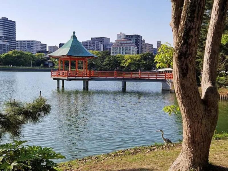 Fukuoka: Ohori Park and Amaguri Onsen Spa Day Tour - Good To Know