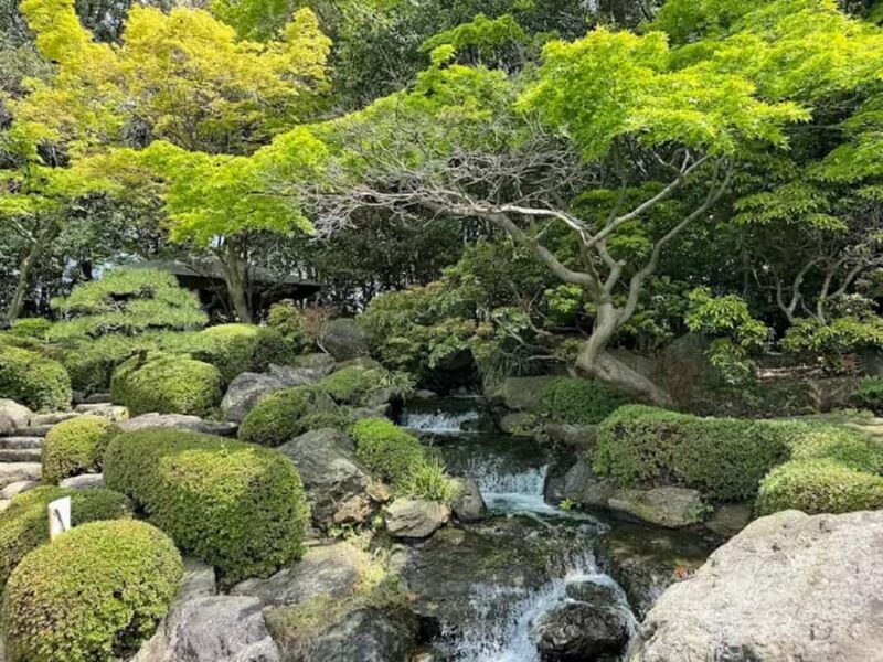 Fukuoka: Ohori Park and Amaguri Onsen Spa Day Tour - The Experiences Highlights and Considerations