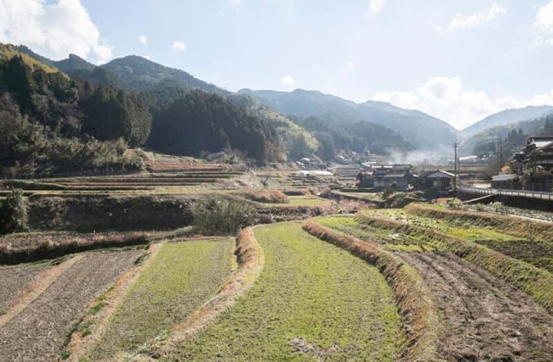 Fukuoka: Private Farm Experience with Lunch - Practical Details and Tips