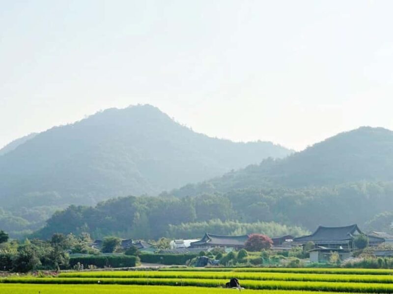 Fukuoka: Private Farm Experience with Lunch - Who Is This Tour Best For?