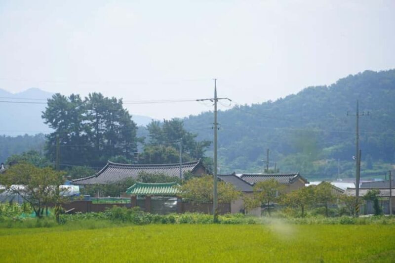 Fukuoka: Private Farm Experience with Lunch - FAQs
