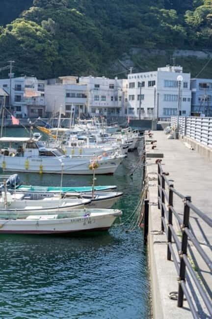 Fukuoka: Private Fishing Tour with Captain and Gear - Good To Know