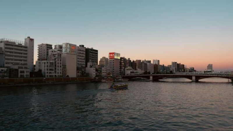 Fukuoka: Private Night Tour with River Cruise and Food - The Experience’s Strengths and Considerations