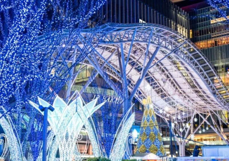 Fukuoka: Private Shopping Tour with Local Guide - Who Will Love This Tour?