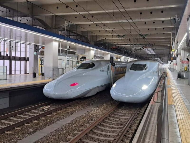 Fukuoka: Round-Trip Shinkansen Tour to Kumamoto Castle - An In-Depth Look at the Tour