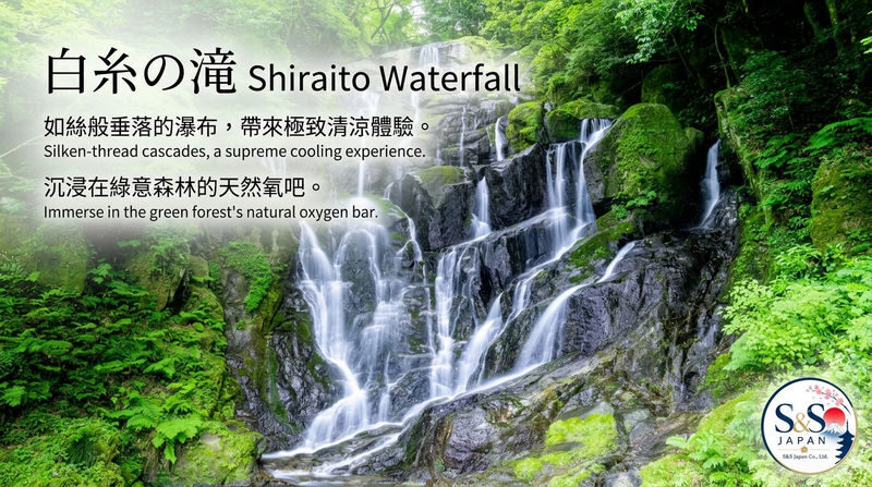 Fukuoka Shiraito Falls & Itoshima Coastal Day Tour - Meoto Iwa and the coastal views