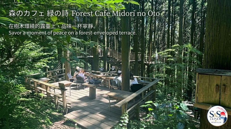 Fukuoka Shiraito Falls & Itoshima Coastal Day Tour - Seafood lunch, with local advice