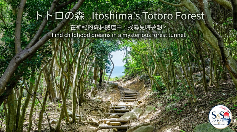 Fukuoka Shiraito Falls & Itoshima Coastal Day Tour - Who will enjoy this day most