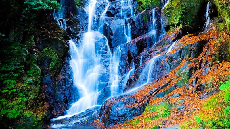 Fukuoka Shiraito Falls & Itoshima Scenic Spots Full-Day Tour - A day out from Fukuoka to Itoshima