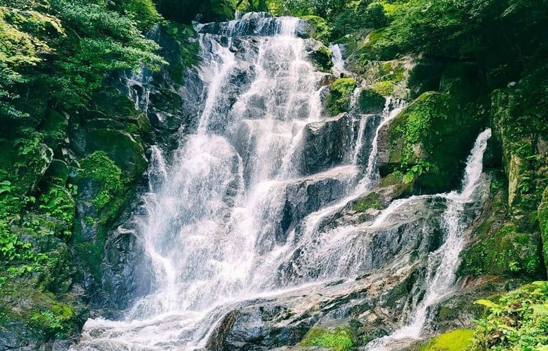 Fukuoka Shiraito Falls & Itoshima Scenic Spots Full-Day Tour - A temple stop adds a different kind of pause