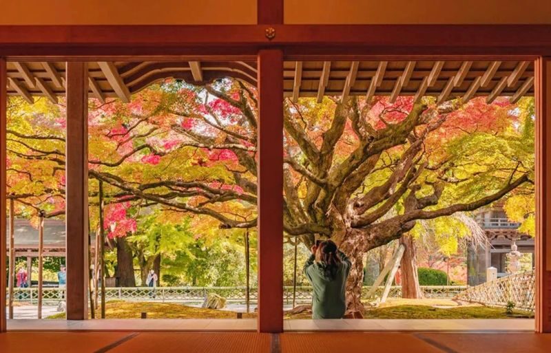 Fukuoka Shiraito Falls & Itoshima Scenic Spots Full-Day Tour - Timing, transport and the return to Hakata
