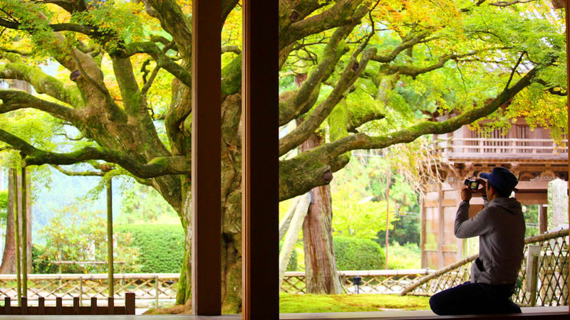 Fukuoka Shiraito Falls & Itoshima Scenic Spots Full-Day Tour - Is $44.19 good value?