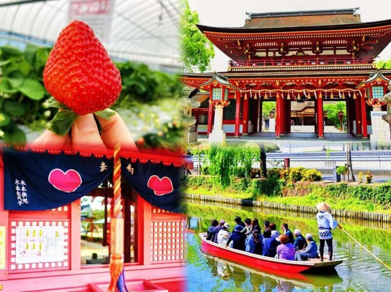 Fukuoka: Strawberry Picking, Koiki Shrine & Yanagawa Tour - Who Would Love This Tour?