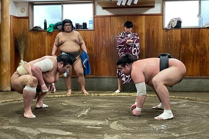 Fukuoka Sumo Morning Practice Watching Tour - Introduction: Getting a Real Sense of Sumo in Fukuoka