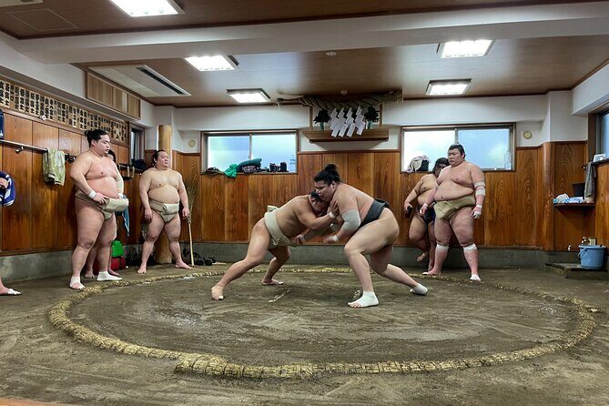 Fukuoka Sumo Morning Practice Watching Tour - An In-Depth Look at the Fukuoka Sumo Practice Tour