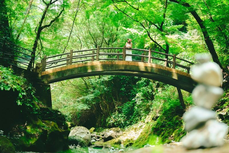 Fukuoka Takachiho Full-Day Private Tour - Lunch: one hour, not included