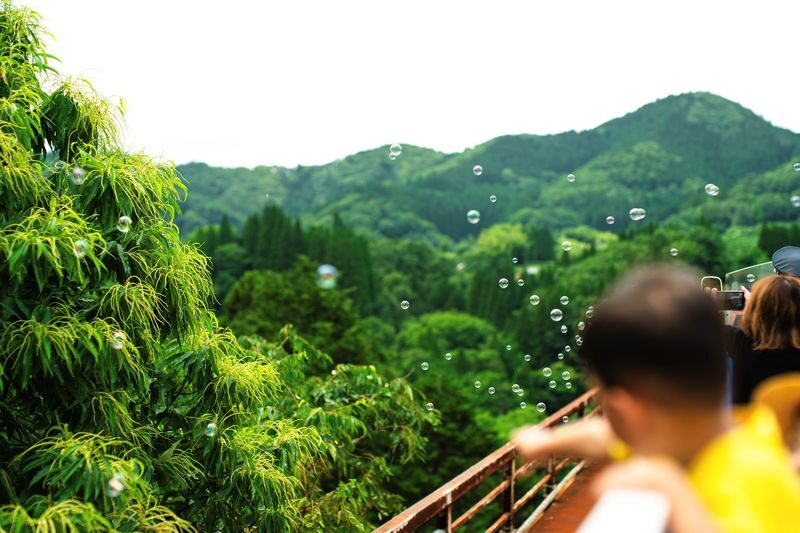 Fukuoka Takachiho Full-Day Private Tour - Takachiho Gorge: the day’s main event