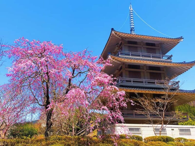 Fukuoka: Takachiho Gorge & Amano-Iwato Shrine Day Trip - A Deep Dive into the Experience  