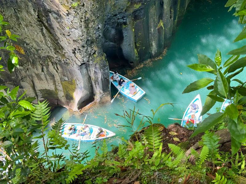 Fukuoka Takachiho Gorge & Amanoiwato Shrine Full-Day Guided Tour - Who should take this day trip