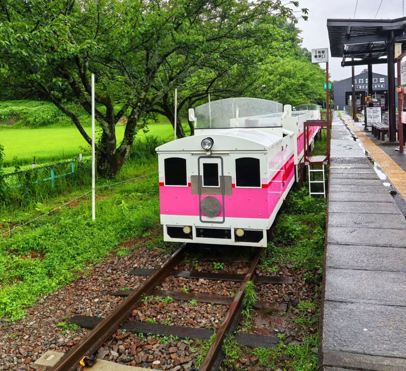Fukuoka Takachiho Gorge & Amanoiwato Shrine Full-Day Guided Tour - Should you book the Takachiho day tour?