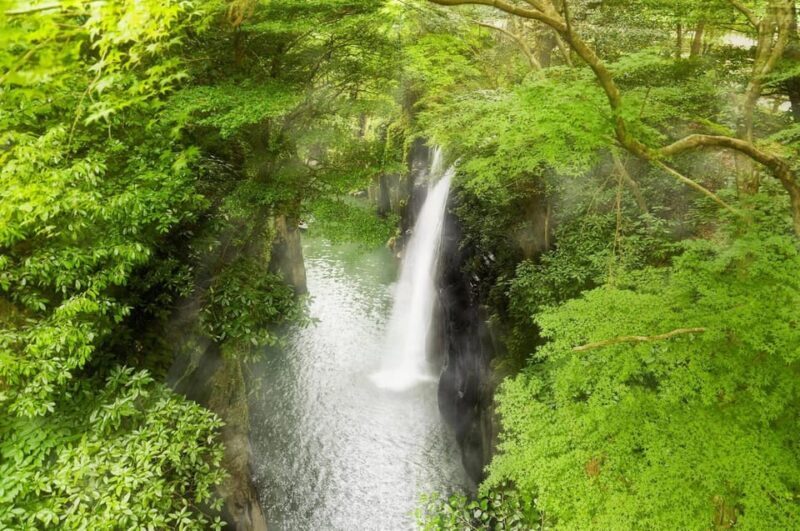 Fukuoka: Takachiho Gorge and Shrine Private Day Trip - Why This Tour Works