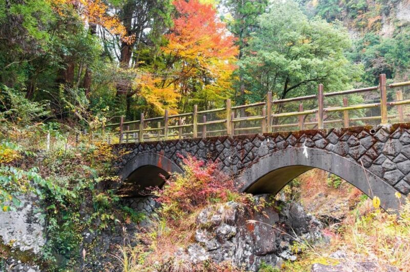 Fukuoka: Takachiho Gorge and Shrine Private Day Trip - What is the Experience Like?