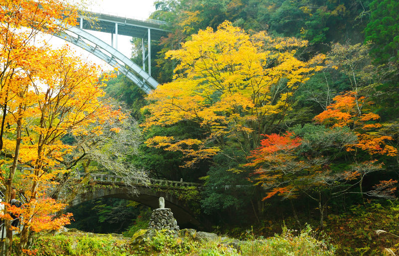 Fukuoka Takachiho Gorge & Kusasenri One-Day Bus Tour - Mount Aso access is never guaranteed