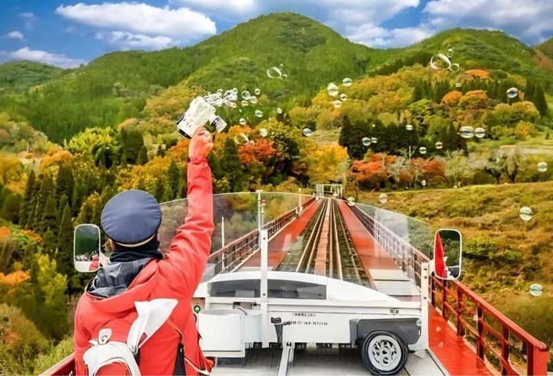 Fukuoka: Takachiho Gorge, Optional Boat Ride & Vintage Train - Who Will Enjoy This Tour?