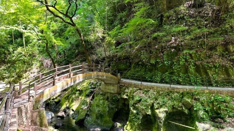 Fukuoka: Takachiho Gorge, Optional Boat Ride & Vintage Train - FAQ