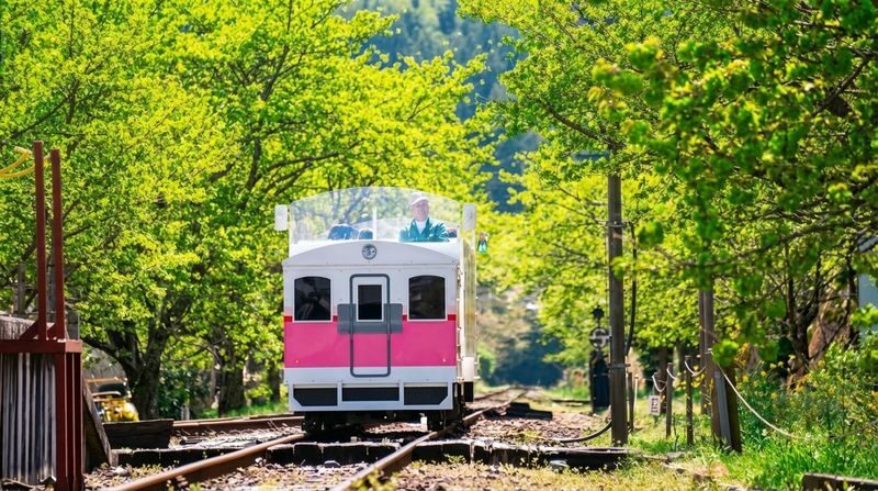 Fukuoka Takachiho Gorge & Train Full-Day Tour - What to know before you go