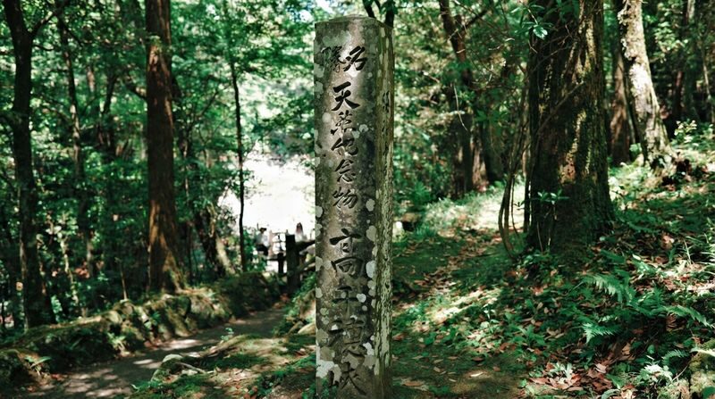 Fukuoka Takachiho Gorge & Train Full-Day Tour - Guides who keep the day on track