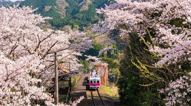 Fukuoka Takachiho Gorge & Train Full-Day Tour - Weather, cancellation, and a few practical checks
