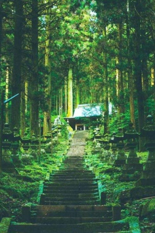 Fukuoka Takachilo Gorge Amanoyasugawara Shrines One Day Tour - Good To Know