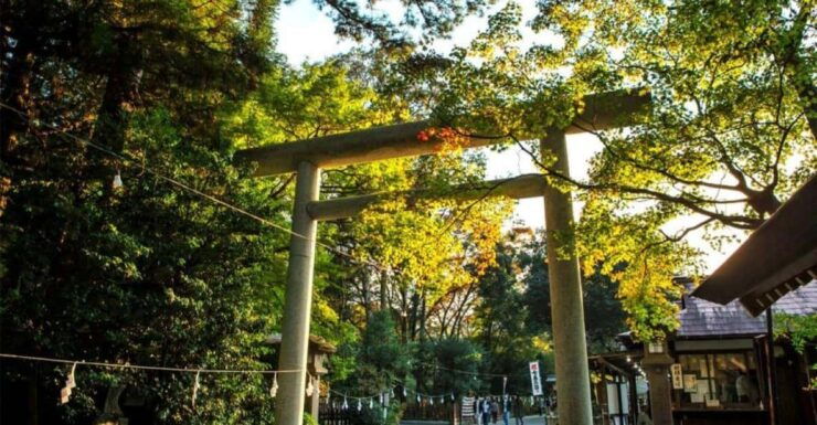 Fukuoka Takachilo Gorge Amanoyasugawara Shrines One Day Tour - Highlights of the Tour
