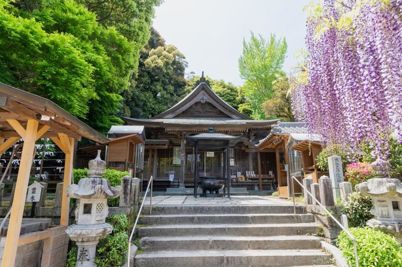 Fukuoka Tempaizan & Outlets Full-Day Experience with Hot Spring - Kimura’s personal touch