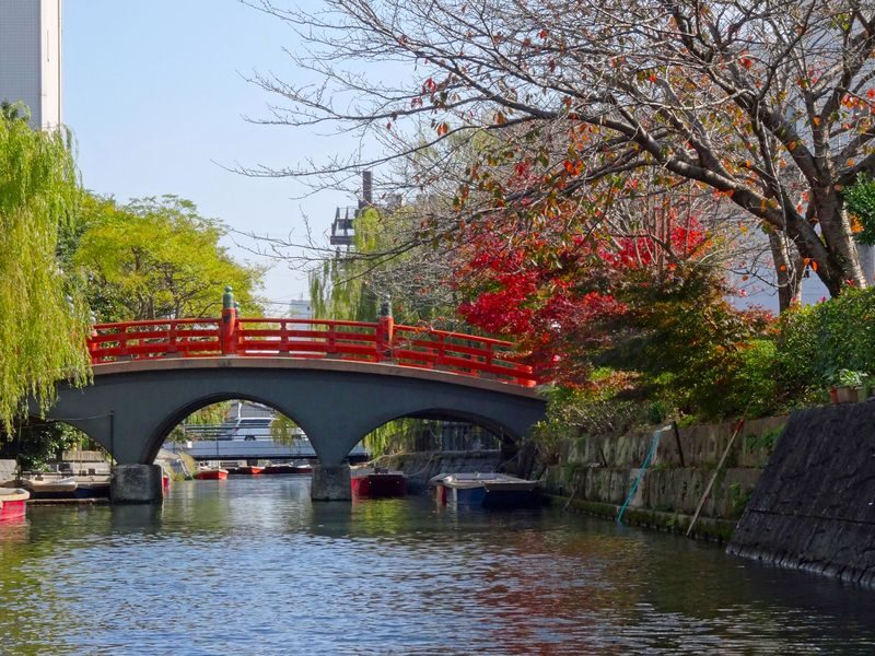 Fukuoka Ukiha Inari, Yanagawa & Itoshima Full-Day Tour with Cruise Ticket - The guide may be the difference between a route and a good day