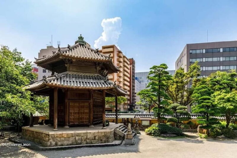Fukuoka: Unforgettable Customizable Walking Tour Guide - Exploring Fukuoka: What to Expect from the Tour