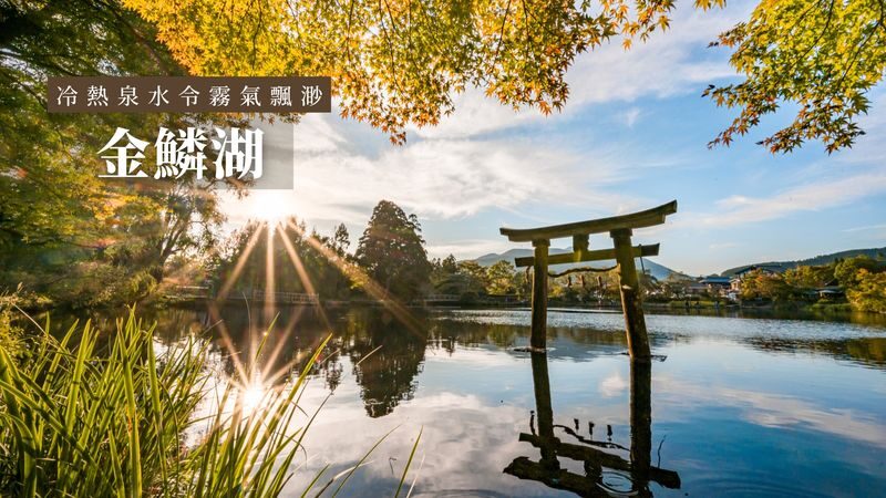 Fukuoka Yufuin & Dazaifu Tenmangu Full-Day Tour - Who should book this Kyushu day trip?