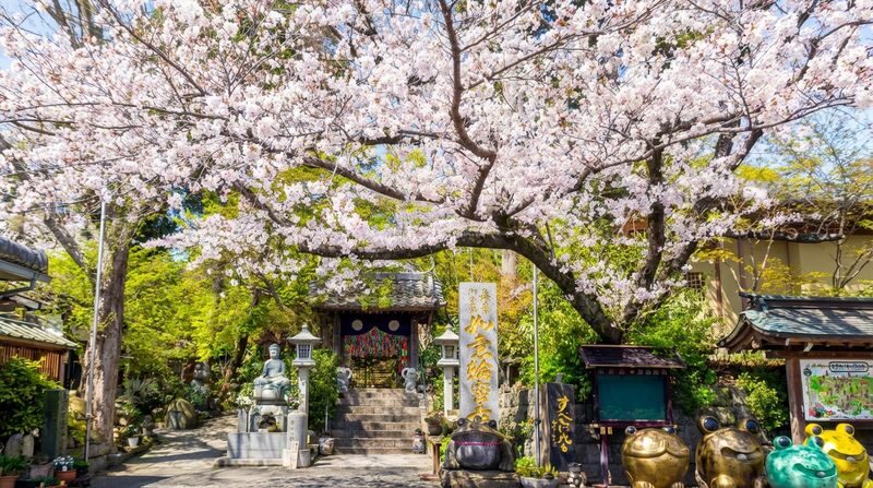 Fukuoka Yufuin & Nyorinji Temple Full-Day Experience - Three very different stops in one day