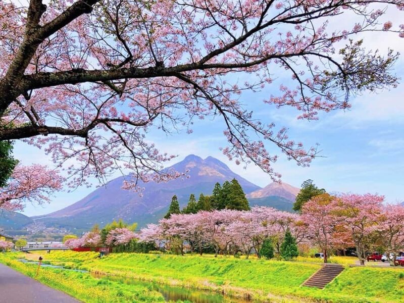 FukuokaDazaifu,Yufuin Village,Beppu Ropeway,Kamado Jigoku - An In-Depth Look at the Itinerary