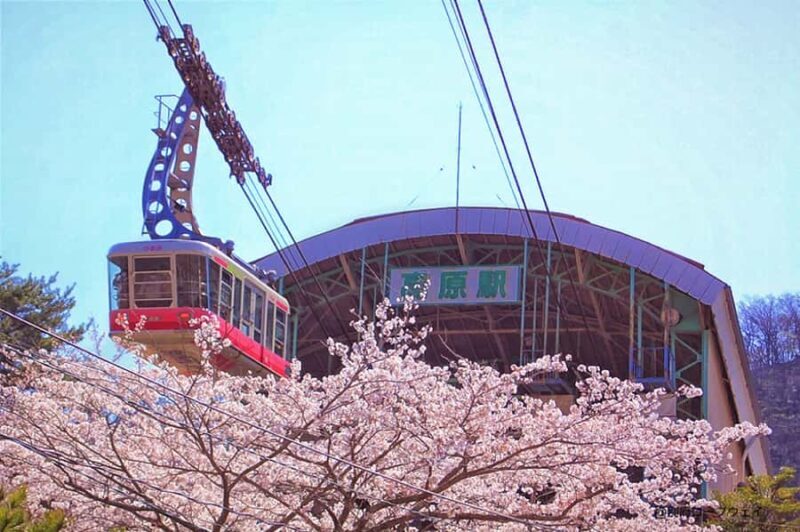 FukuokaDazaifu,Yufuin Village,Beppu Ropeway,Kamado Jigoku - Food and Tasting Highlights