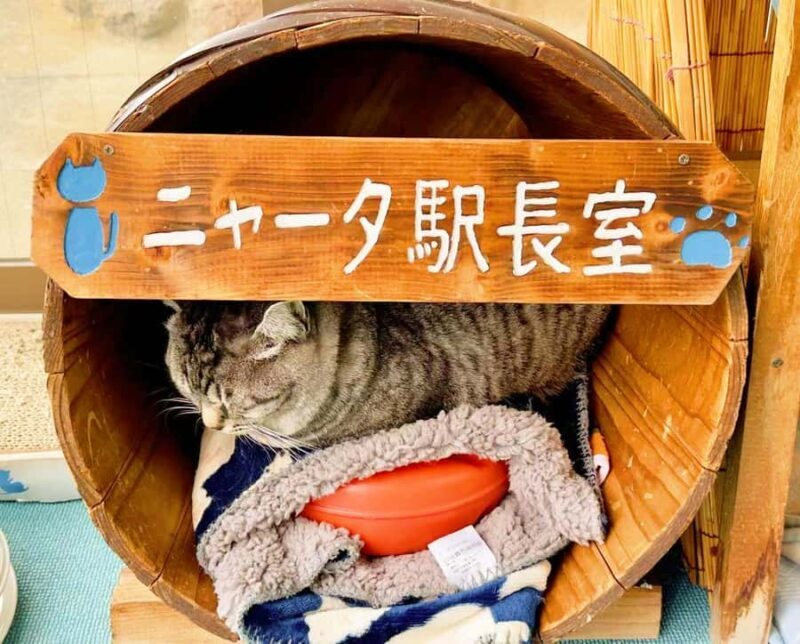 FukuokaDazaifu,Yufuin Village,Beppu Ropeway,Kamado Jigoku - The Sum Up  