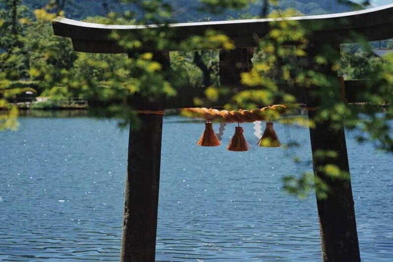 Fukuoka:Frog Temple, Beppu Hell Springs Tickets Incl &Yufuin - Who is This Tour Best For?